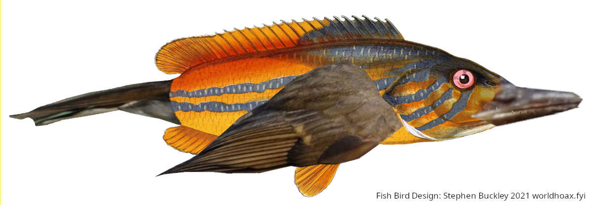 Image:Fish-Bird